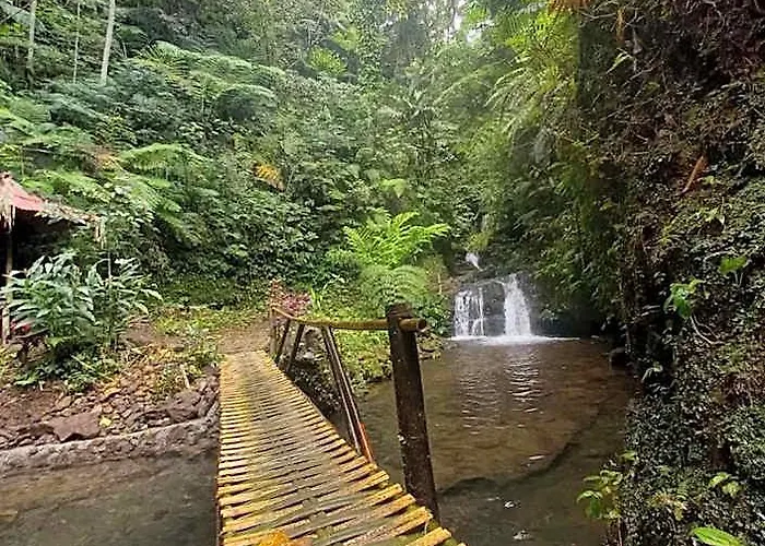 Munduk Tutub Waterfall View 5*