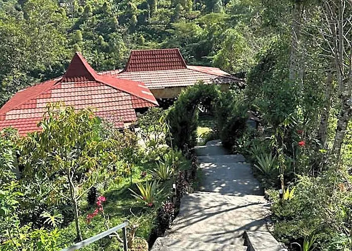 Munduk Tutub Waterfall View ホテル