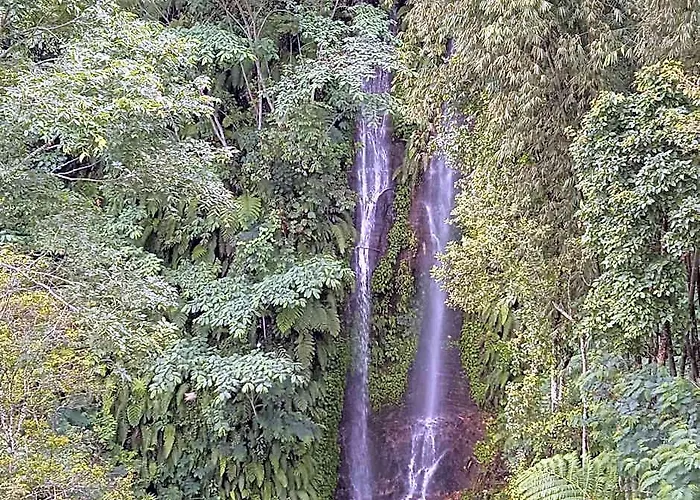 ホテル Munduk Tutub Waterfall View 5*