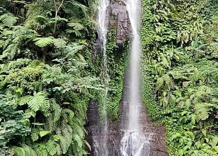 ホテル Munduk Tutub Waterfall View バリ島