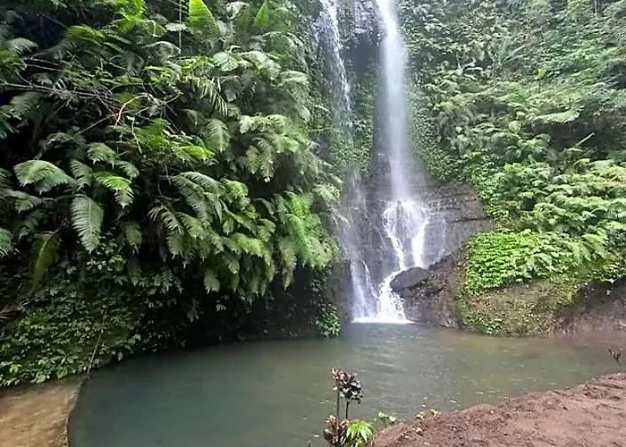Munduk Tutub Waterfall View ホテル バリ島