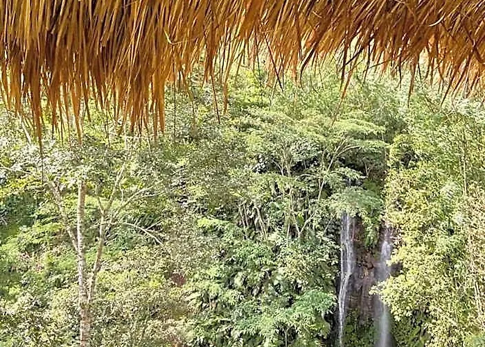 ホテル Munduk Tutub Waterfall View バリ島